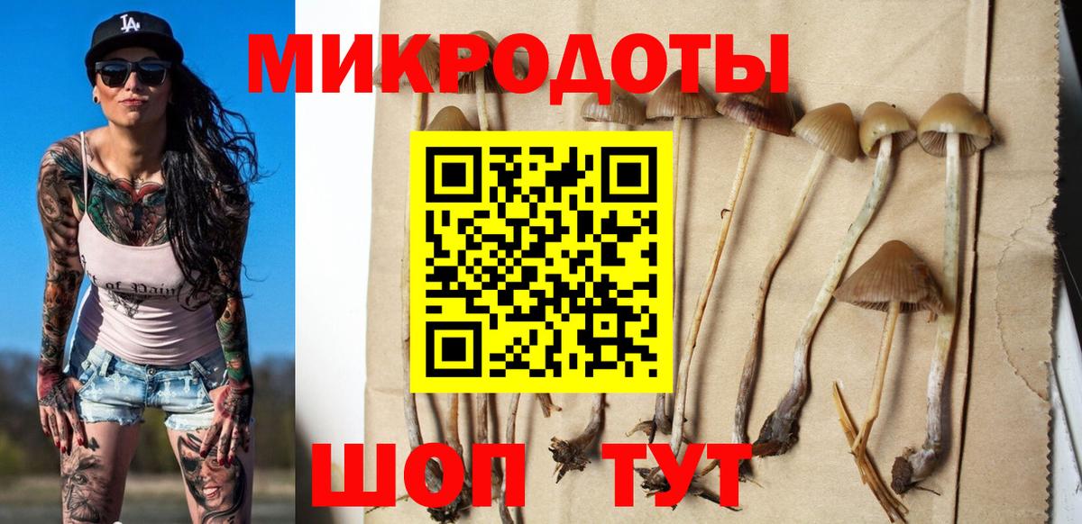 Белорецк  Псилоцибиновые грибы Psilocybine cubensis  Вход с VPN 